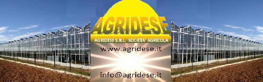 Agridese srl società agricola 15000 mq di lombardia in serre Agridese Srl Società Agricola - Fotovoltaico